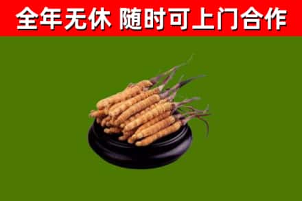 开封市烟酒回收冬虫夏草.jpg